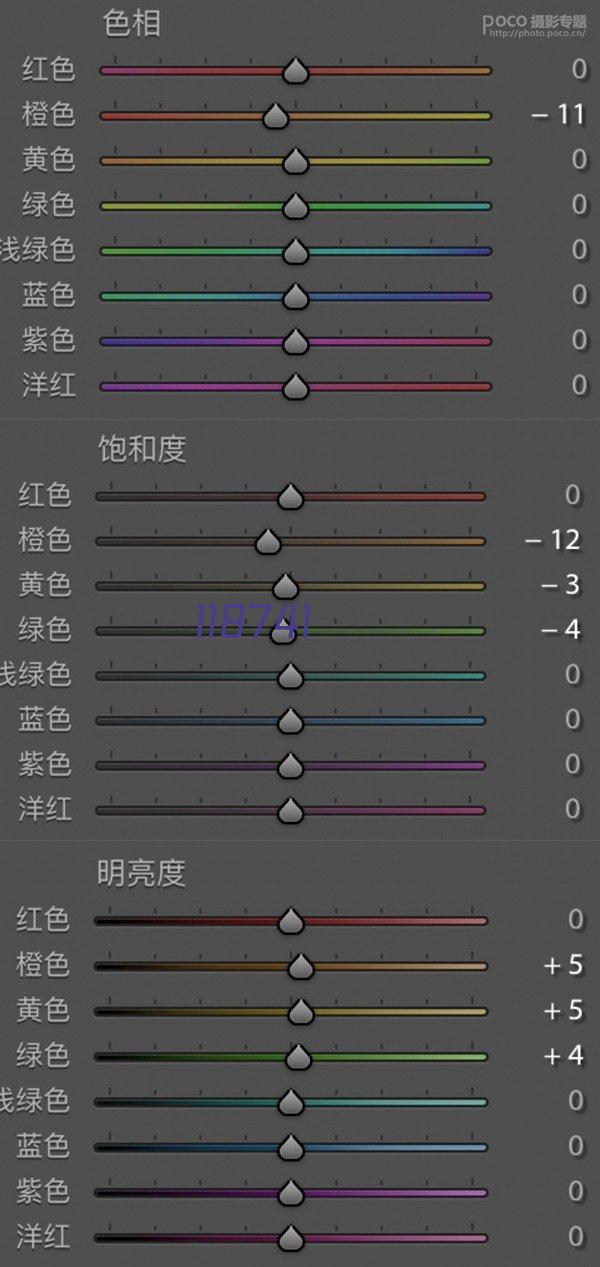 汽车租赁公司