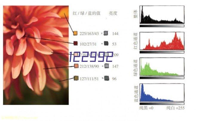 ZR202日本进口yokogawa一体型氧浓度分析仪