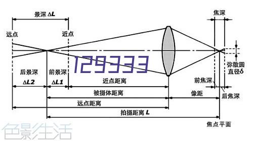 小日子的在线观看免费