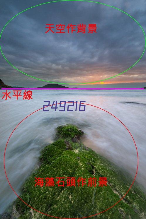 日本呼吁两千中国选手弃跑东京、京都马拉松，补偿是…… ...