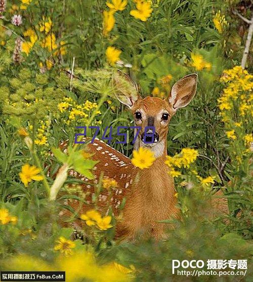 成都防静电地板