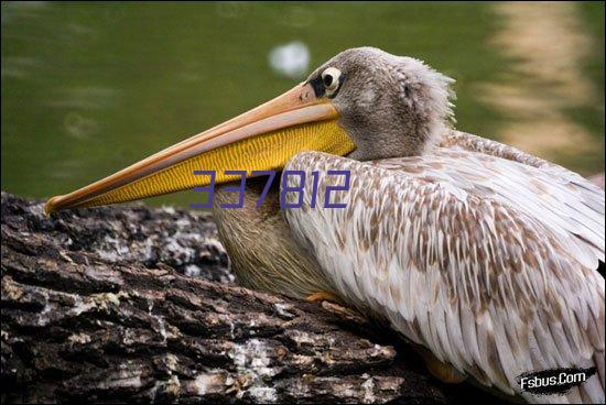 Holocentriformes Sargocentron diadema