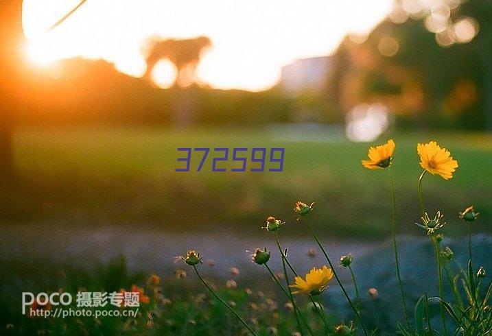 一种能效等级二级10KV干式非晶合金节能变压器 ZL202121537832.9