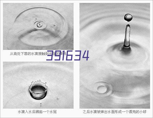 西安远洋国际货运公司