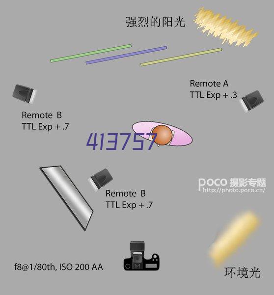 网站建设基础版