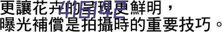 万象组合新太阳组合木桥平衡木触觉板早教中心课程家用教具儿童室内体能运动幼儿园户外玩具感统训练器材全套 万象组合（114件）