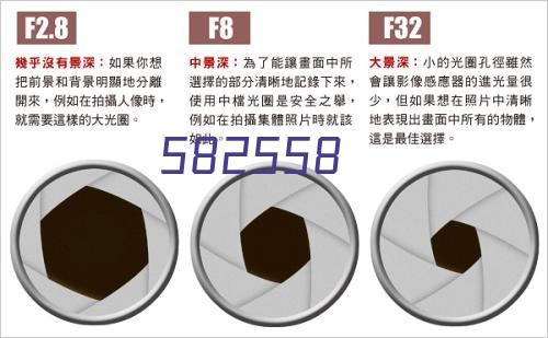 经编绒布面料系列