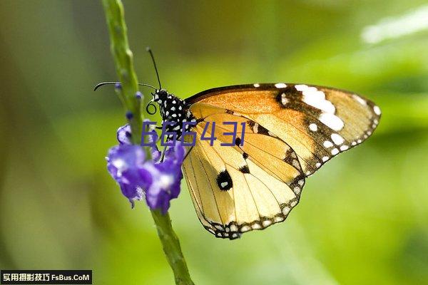 全花架式龙门吊