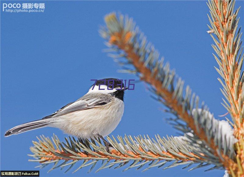 德润遇鉴｜为什么一定要买一楼带院的房子