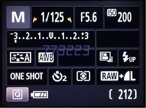 LT-S8.FA电动老爷车