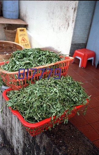 一文讲解：如何判断港基和海外基金当天的涨