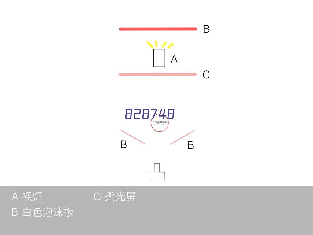 Multiplex SNaPshot SNP分型法