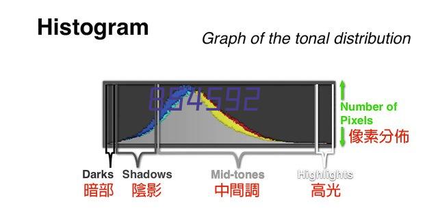 焦作市洛阳商会