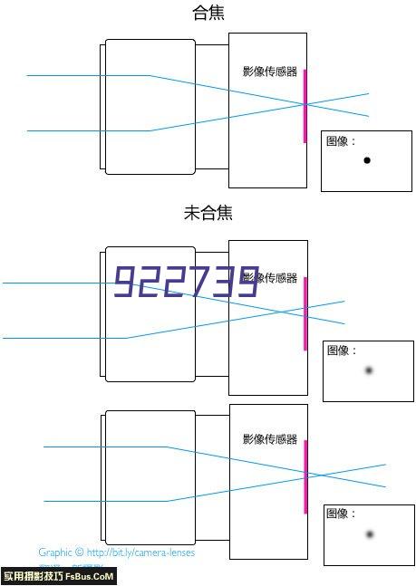 圣谷山归藏金花白茯茶