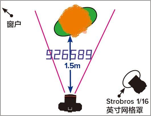 灿烂的花园