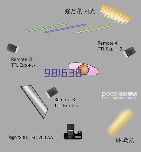 广州纳斯威尔信息技术有限公司