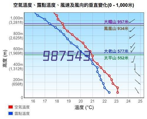 纽约自由人